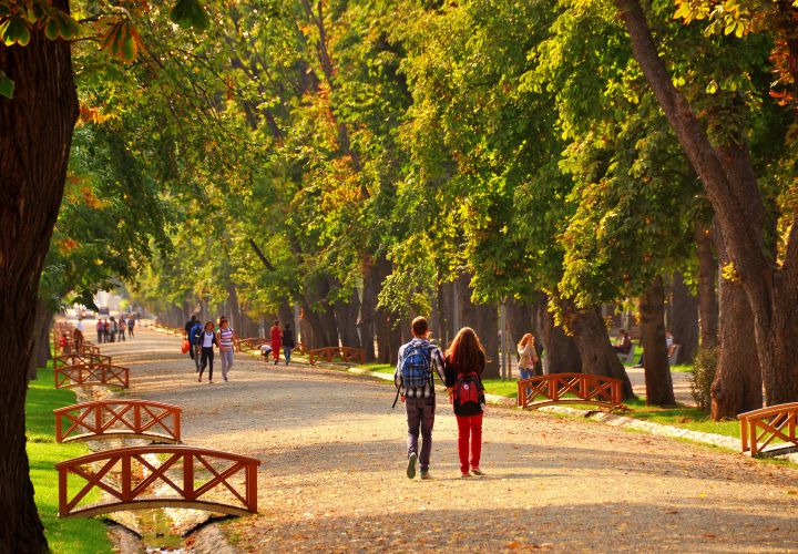 Cluj Central Park