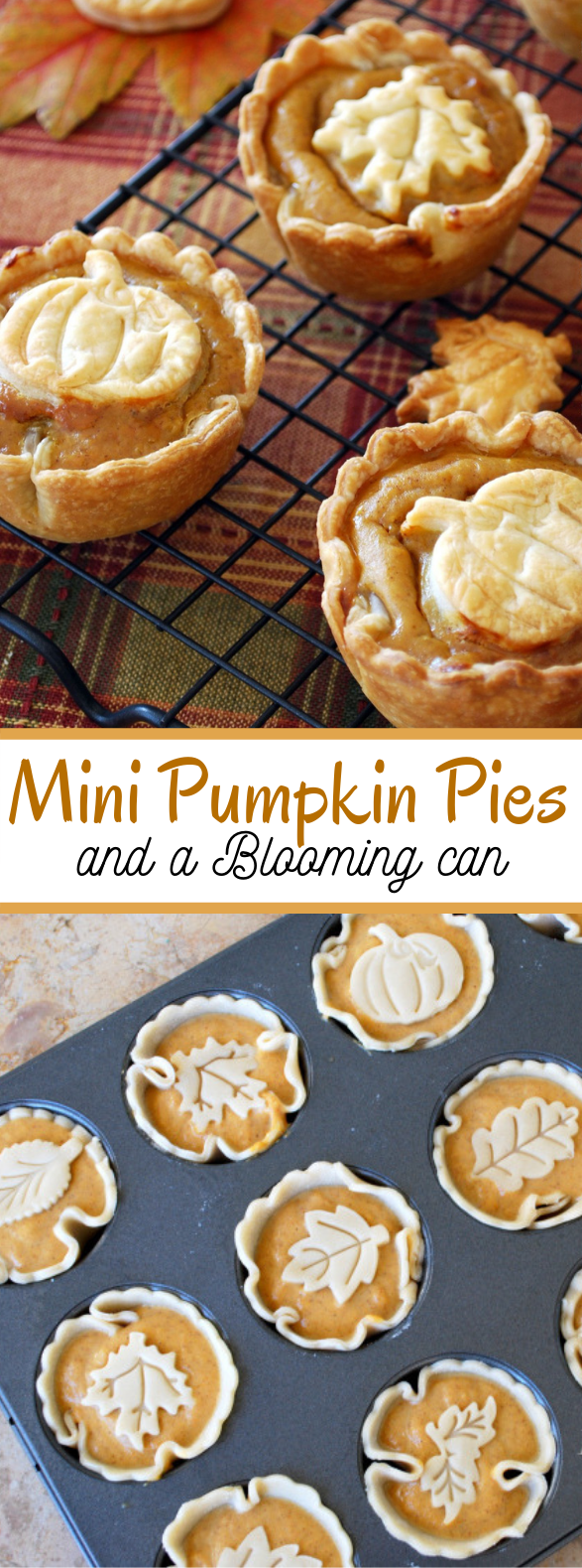 Mini Pumpkin Pies and a Blooming Can #desserts #cookies