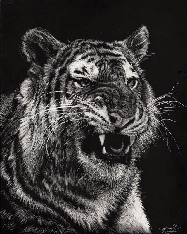 Simply Creative: Scratchboard Animals Portraits by Allan ...