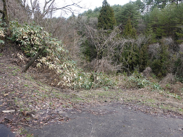 鳥取県西伯郡伯耆町丸山　ふれあいの森キャンプ場　散策の森