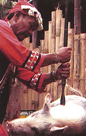 Agusanon Manobo ritual killing of a pig