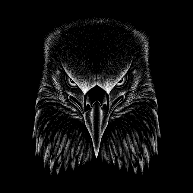 The vector eagle for t shirt print.