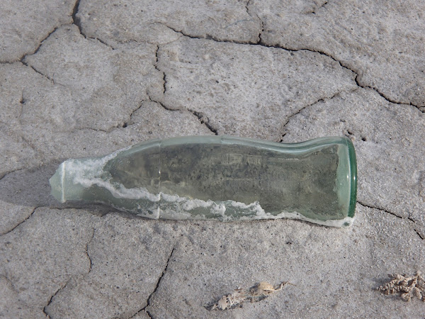 salt-encrusted old coke bottle lying on cracked earth