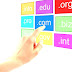 Domain Name - Web Domain Registry