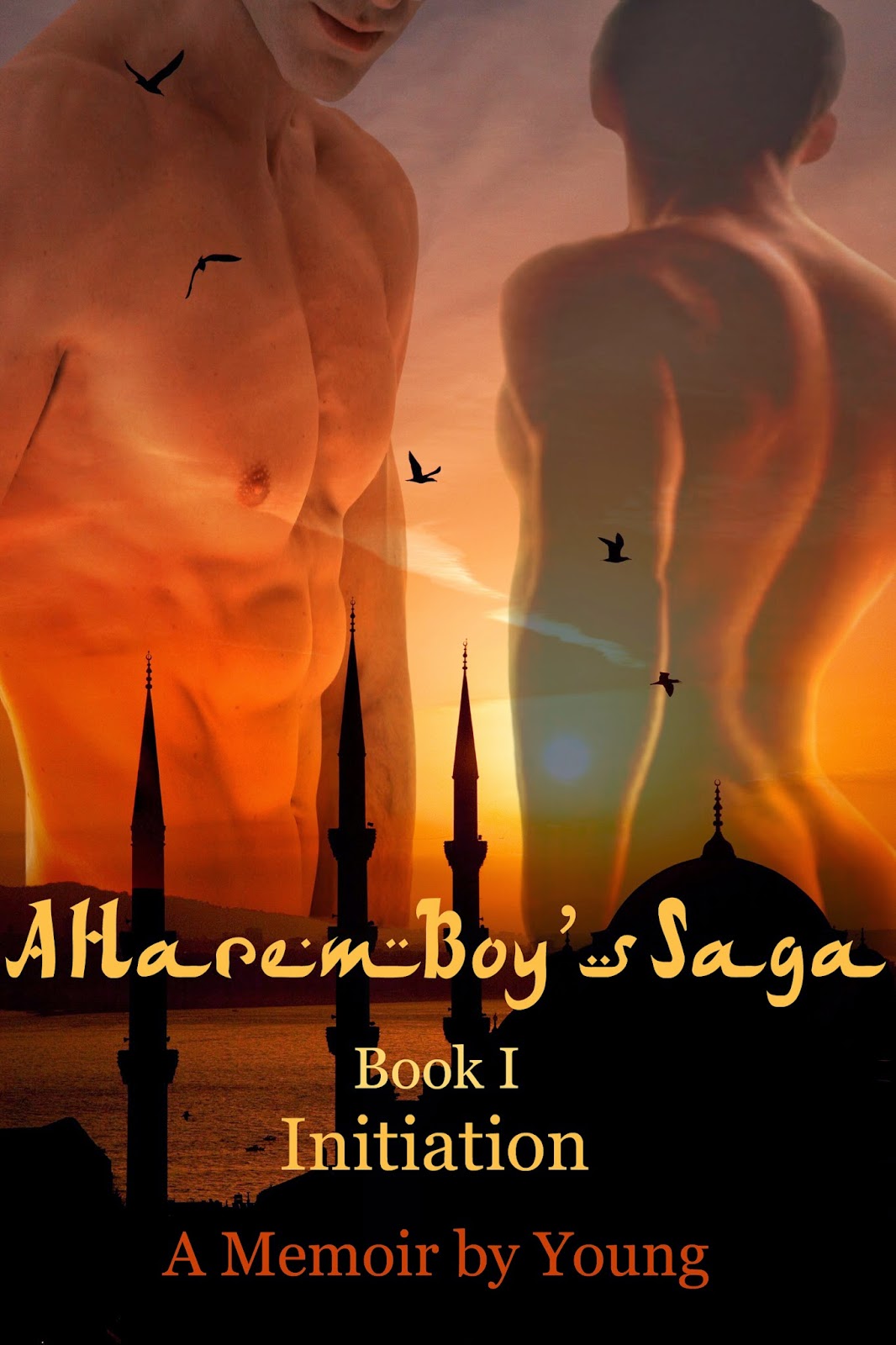 http://www.amazon.com/Initiation-Harem-Boys-Saga-Book-ebook/dp/B00KOEXWQQ/ref=la_B00CENKJKM_1_5?s=books&ie=UTF8&qid=1421655125&sr=1-5