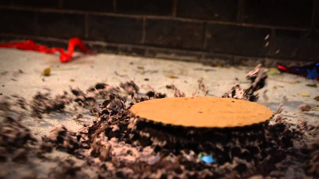 A birthday cake thrown to the ground, a hilarious reference to SNL's Lonely Island