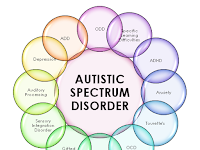 What is Autism ? Autism Definition