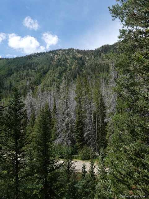 015: river through trees below a short cliff, hillsides above