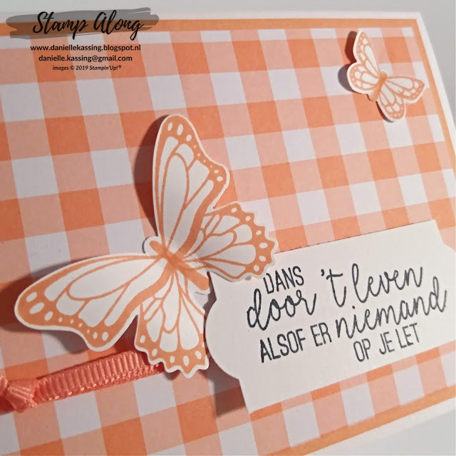 Stampin' Up! Vlinderdans en Gingham Gala DSP