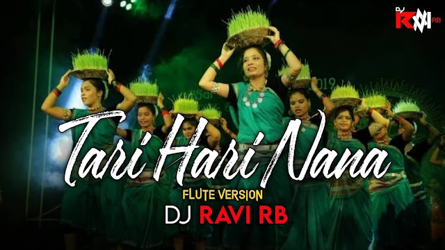 Tari Hari Nana | Diwali Special | Cg Flute version | Vidrate Remix | Dj Ravi RB