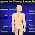 Sistema Inmunológico