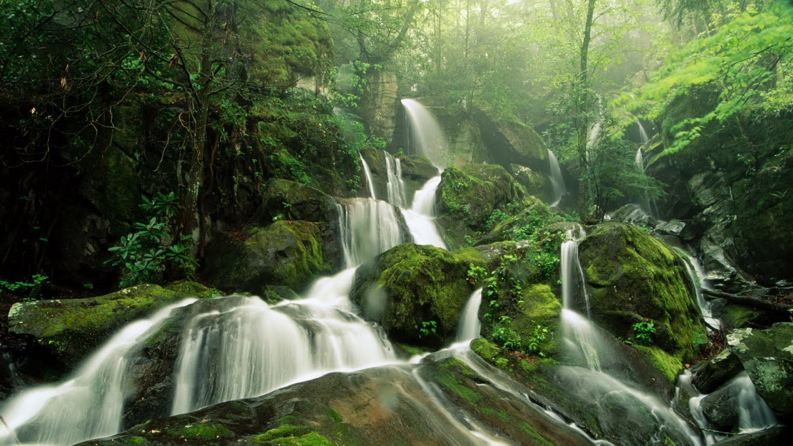 Waterfall Nature Wallpapers HD | Water Fall in Jungle High Res ...
