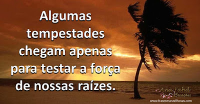 Algumas tempestades chegam apenas para testar a força de nossas raízes.