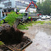    Δ. Τρικκαίων: Απομακρύνθηκε το πεσμένο δέντρο - Χωρίς ριζικό σύστημα πιθανώς λόγω ασθένειας