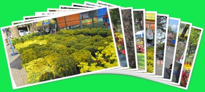 View album