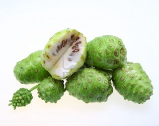 el fruto del noni se usa para ayudar en el tratamiento de la diabetes