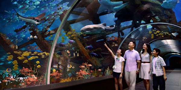 Tempat Beli Tiket Sea Aquarium Singapore Paling Recomended