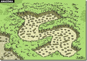 amazonia_fim