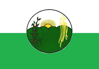 Bandeira de São José do Alegre MG