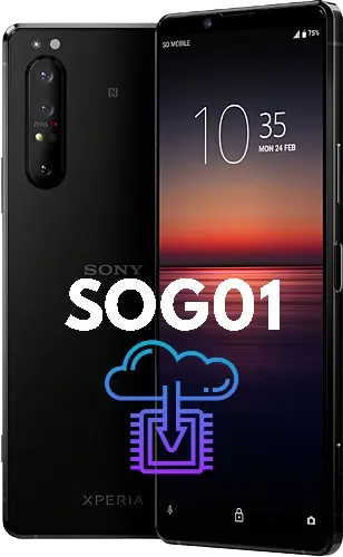 Firmware For Device Sony Xperia 1 II SOG01