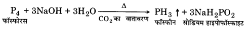 Solutions Class 12 रसायन विज्ञान-I Chapter-7 (p-ब्लॉक के तत्त्व)