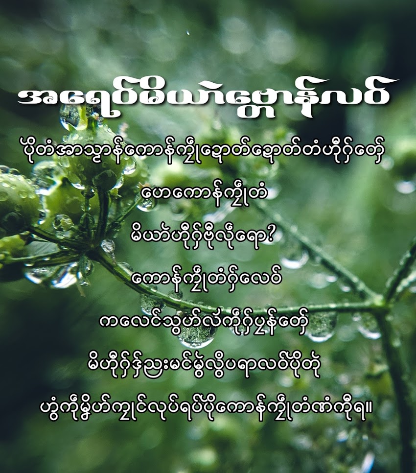 အရေဝ်မိယာဲဗ္တောန်လဝ်