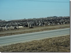 DSCN2196