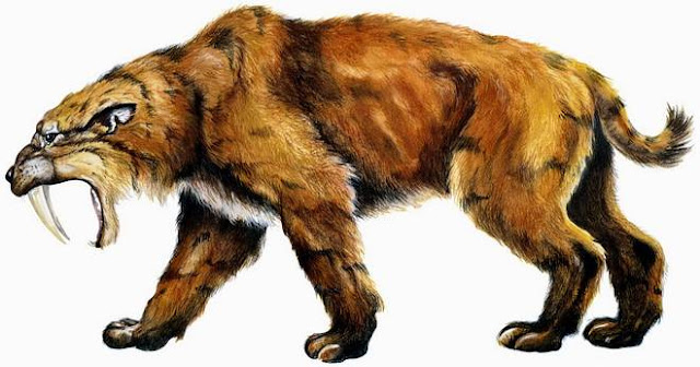 smilodon fatalis