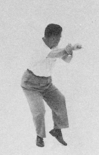 Tai Chi Chuan (Square Form) 55. Turn The Body To Face The Right