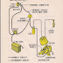 65 Mustang Ignition Switch Wiring Diagram