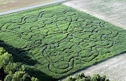 Each visitor will receive a map of the maze, which takes about 30 minutes to .
