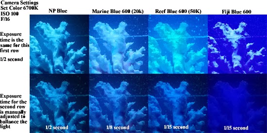 Blue Reef Aquarium LED Light Color Comparison