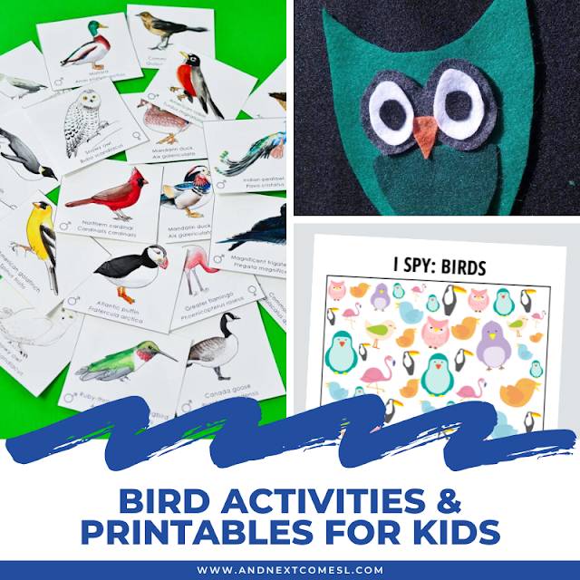 Fun and educational bird activities and printables for toddlers, preschoolers, and older kids