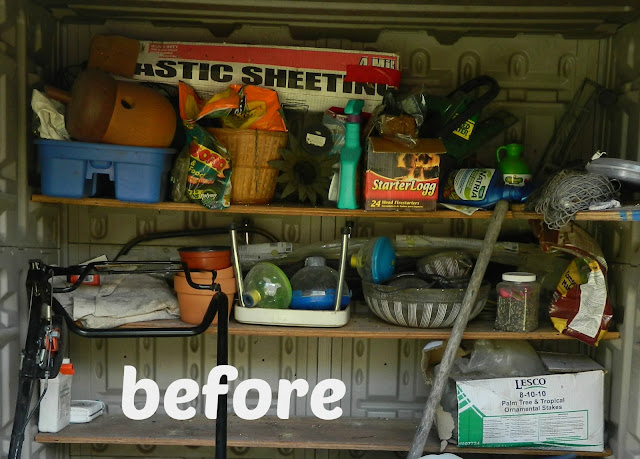 Shed Organization