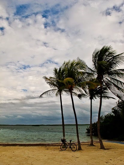 John Pennekamp Coral Reef State Park Far Beach Area