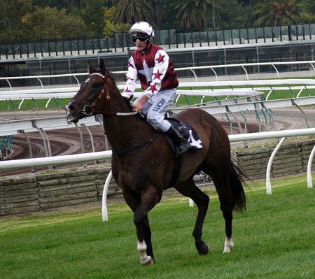 race 3_stellar collision 1