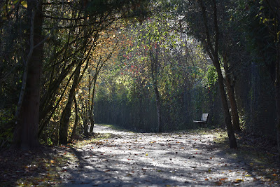 Trans Canada Trail Fort Langley BC.