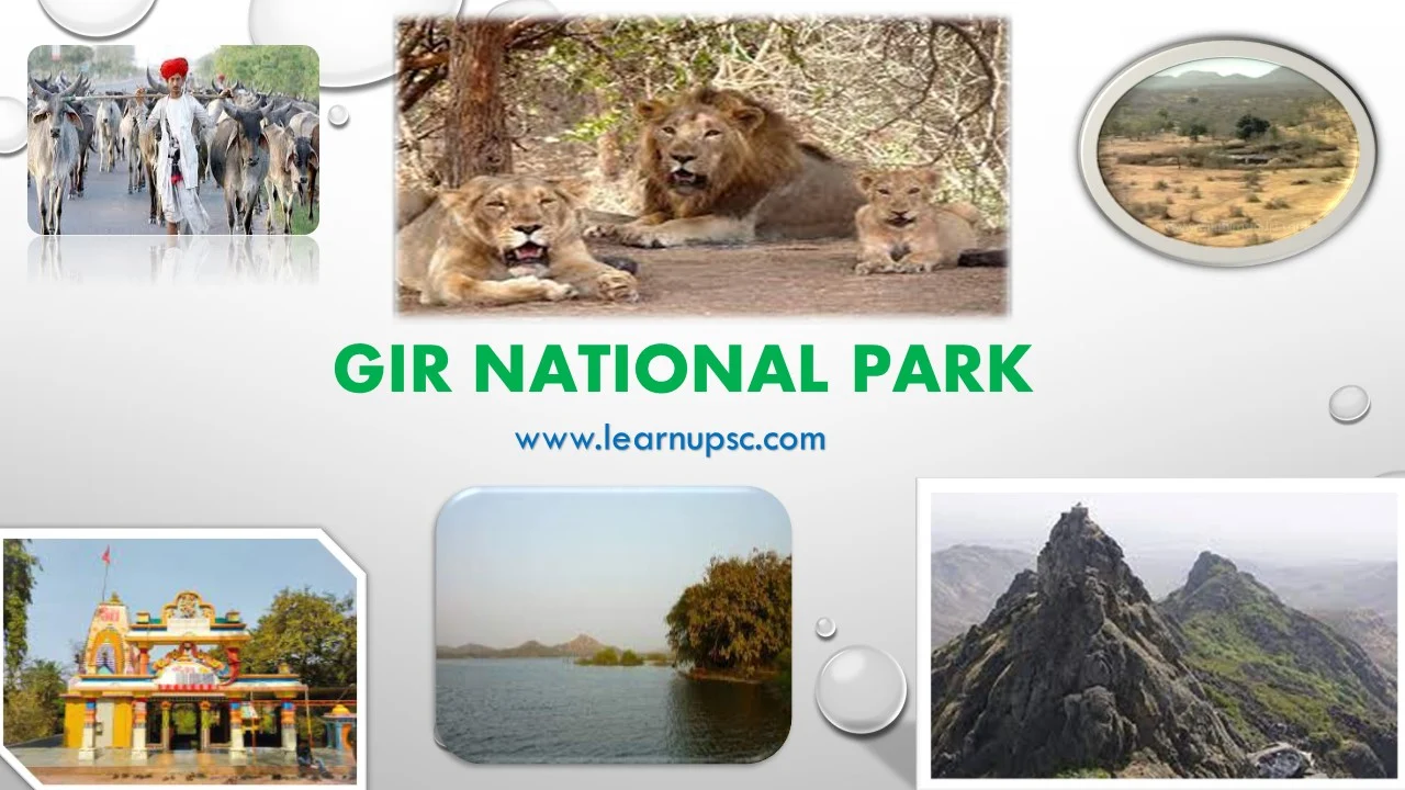 Gir National Park