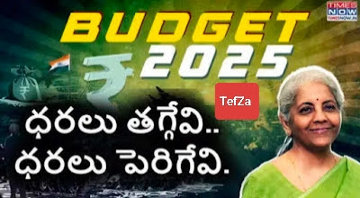 Budget 2025: What Gets Cheaper, Costlier
