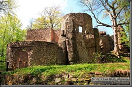 Zamek Bolczów 01