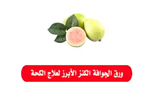 ورق الجوافة الكنز الأبرز لعلاج الكحة