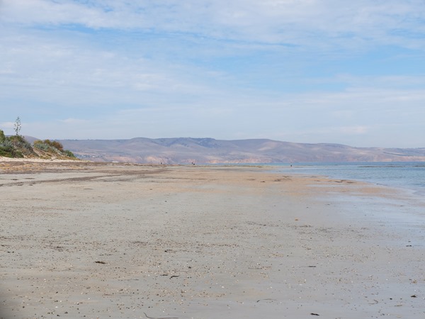 Wishful Thinking - Aldinga and Sellicks Beach