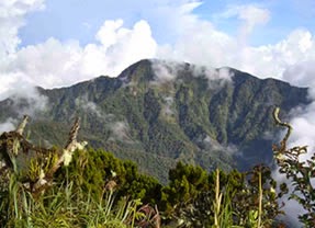 Mount Dulang-dulang