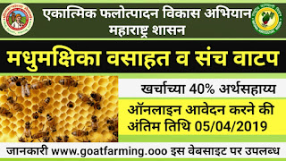 "Bee Farming Scheme 2019" By Maharashtra Government (Hindi)