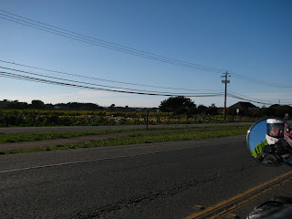 half moon bay pacific highway