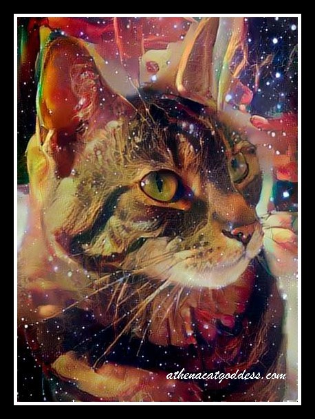 Caturday Art in Space