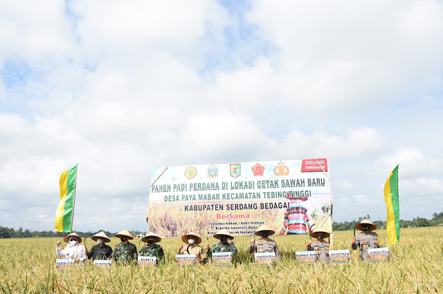 Pemkab Sergai Terus Melaksanakan Program Cetak Sawah