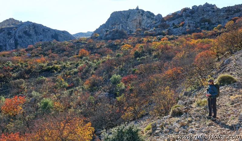 Cornicabral del Valle de Lifa