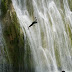 El Salto del Limón en Las Terrenas es un pedazo de paraíso tropical