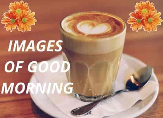 Images of Good Morning, good morning imageshindi,  good morning images with quotes for whatsapp,  good morning images for whatsapp,  good morning images hd,  good morning all images,  good morning video,  good morning images hd 1080p download,